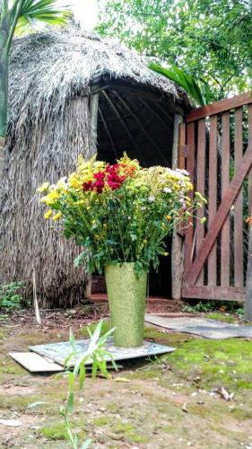 Homenagem à Oxóssi - Camarinha Curimbeiro Rafael - 19.01.2018